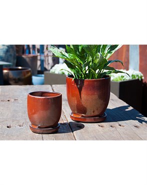 Verandah 7" Oxide Maui Orchid Pot