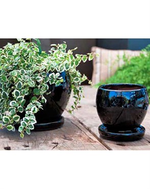 Verandah Gerberba Size A Blk