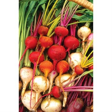 Beets, White Detroit - 1/2oz