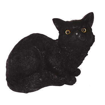 MCarr Cat Sitting Down Meowing Black