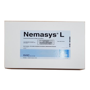 BASF Nemasys L 250 Mil Pack (Min 5 PACKS Direct) ( Black Vine Weevil ) Steinernema kraussei