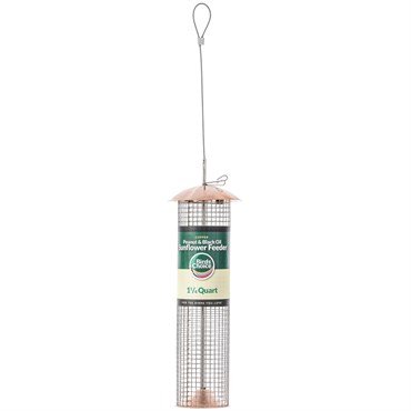 Birds Choice Medium Mesh Hanging Copper Tube Feeder for Shelled Peanuts & Black Oil Sunflower Seed