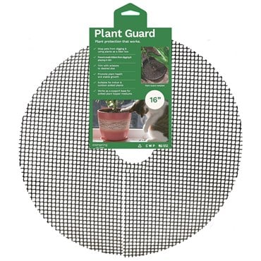 CWP 16" Plant Guard 2 Pack