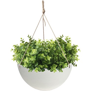 Algreen 14" Acerra Hanging Basket White