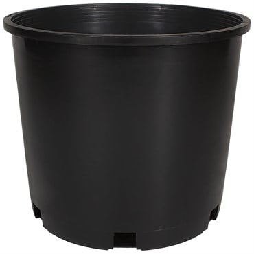 HC PROCAL Dillen Trade 05.00 Gallon Squat Nursery Pot, Injection Molded, Black, 30 per Bundle, 32 Bundles per Pallet, 12.50in x 9.00in, 3.75Gl, 5Gallon