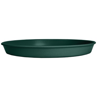 HC 14" Prima Saucer in Evergreen