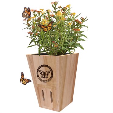 Panacea Butterfly Shelter w/ Wood Planter