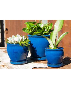 Verandah Butter Cup Size B Fbl