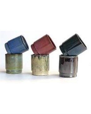 Verandah 12pc 3.5"x4" Floret Pot Mixed Assortment
