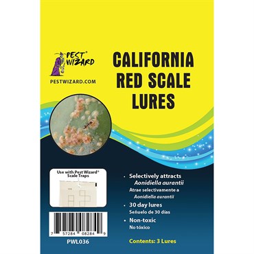 Pest Wizard 3pk California Red Scale Lure