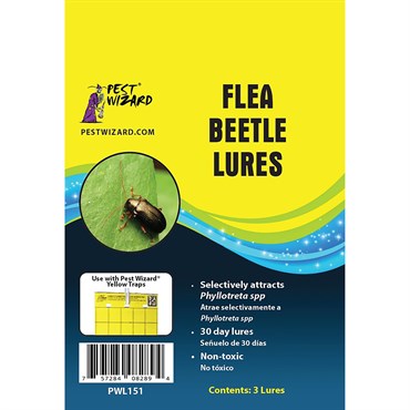 Pest Wizard 3pk Flea Beetle Lure
