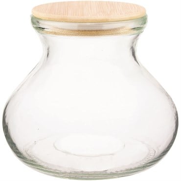 SSI 6" Vase Terrarium with Lid & Light