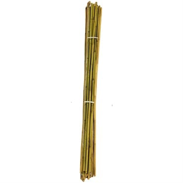 A&G 1"x8' Bamboo Stake