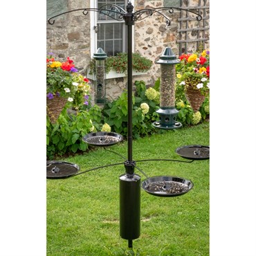 Brome Bird Care 15.3"x24.8"x4" SquirrelBuster Raccoon Buster Tray Kit