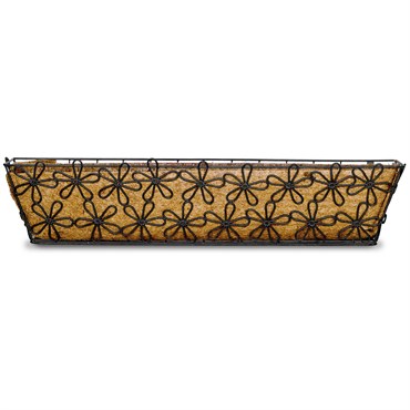 Deer Park Multi-Daisy Window Box w/ Coco Liner Large Black