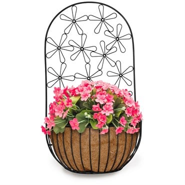 Deer Park Multi-Daisy Wall Planter w/ Coco Liner Black