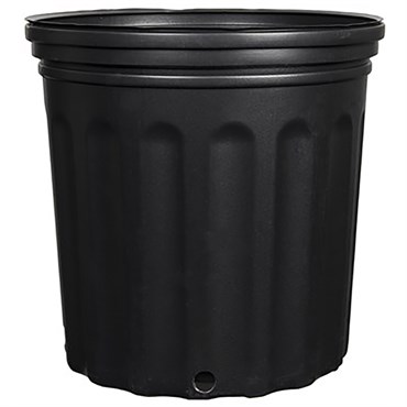 Grower Select 2 Gallon Nursery Pot, Blow Molded, Black, 65 per Case, 75 Cases per Pallet, 9.84in x 8.66in, 2.42Gal, 2Gallon