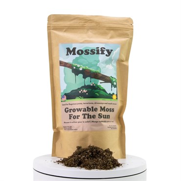 Mossify Sun Growable Moss