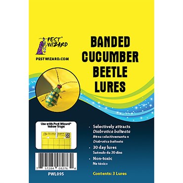 Pest Wizard 3pk Banded Cucumber Beetle Lure