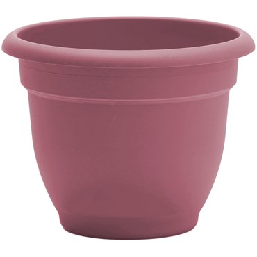 Bloem 6" Ariana Planter Dusty Rose