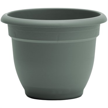 Bloem 6" Ariana Planter Basil
