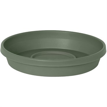 Bloem 8" Terra Saucer Basil