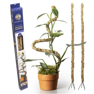 SuperMoss 2pk 36" Bendy Blnd Pole