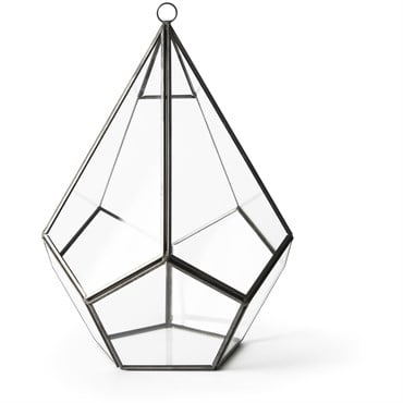 SuperMoss Glass Terrarium Teardrop