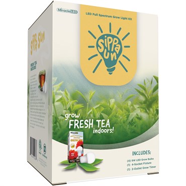 Miracle LED Sippa Sun Tea Growing Light Kit - 4-Socket - 6-Foot - Absolute Daylight - Full Spectrum Grow Bulbs