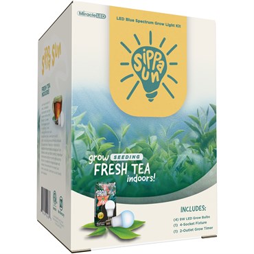 Miracle LED Sippa Sun Tea Growing Light Kit - 4-Socket - 6-Foot - Absolute Daylight - Blue Spectrum Grow Bulbs