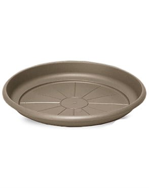 Crescent 12" Emma Saucer Cappuccino