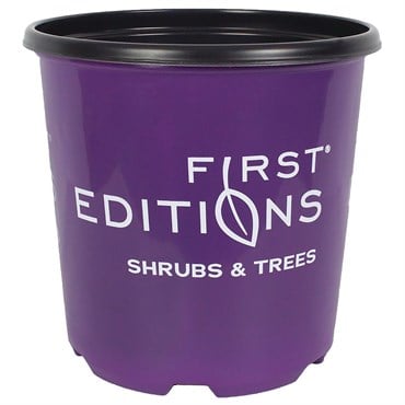 Dillen True 02.00 Gallon First Editions Nursery Pot, Thermoformed, 30 per Bundle, 112 Bundles Per Pallet, 9.50in x 9.25in, 2.00Gal, 2Gallon