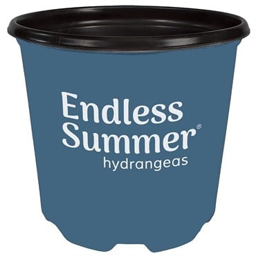 Dillen True 03.00 Gallon Endless Summer Nursery Pot, Thermoformed, 20 per Bundle, 90 Bundles per Pallet, 11.44in x 9.38in, 3.00Gal, 3Gallon