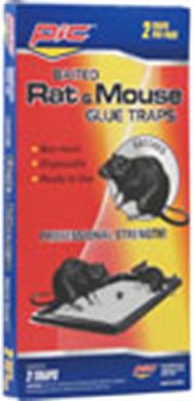 PIC 2pk Glue Trap