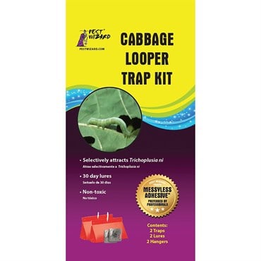 Pest Wizard 2pk Cabbage Looper Kit
