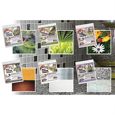 Pest Wizard 2pk Bugs in Pantry Trap Assortment (6 Colors/CS)