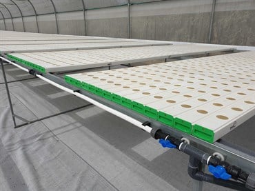 TAPKIT 35'x168' Hydroponic System - 22,272 Planting Holes