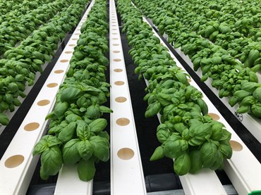 TAPKIT 30'x90' Retrofit Hydroponic System - 9,568 Planting Holes