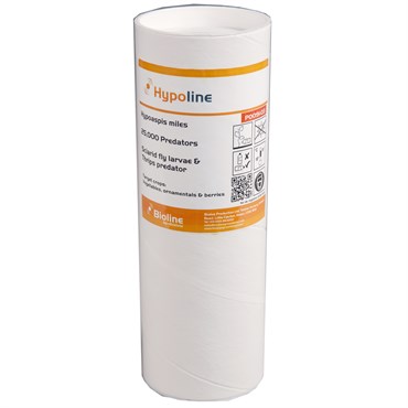 Hypoaspis miles ( stratiolaelaps scimitus ),25,0, 1 liter tube ( Fungus gnat, Thrips )