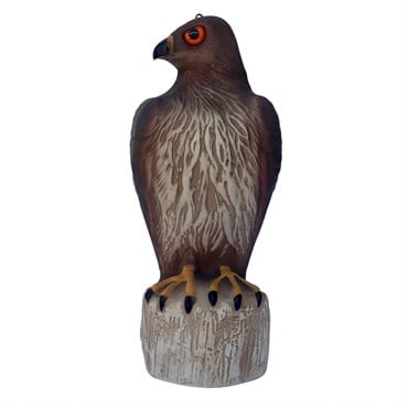 Bird B Gone Hawk