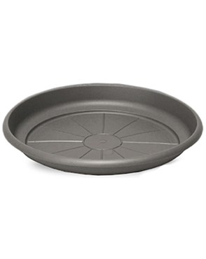 Crescent 5.5" Emma Saucer Charcoal