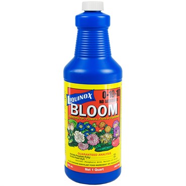 Liquinox Qt Bloom