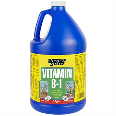 Western States 1gal B-1