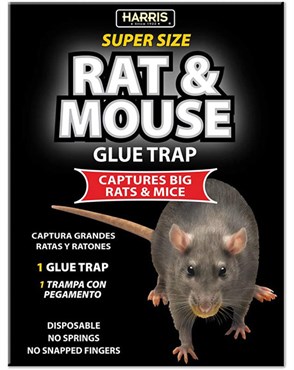 Harris 1pk Black Rat Glue Board