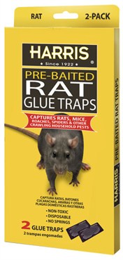 Harris 2pk Rat Glue Traps