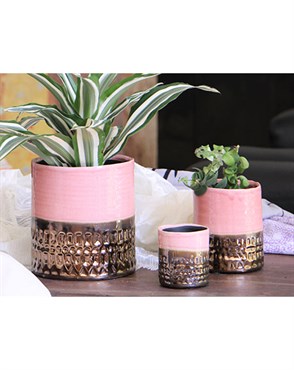 Jewel 5.5" Cache Pot Rose