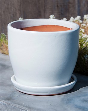 Verandah 8.5"x7.5" Lily Wsp
