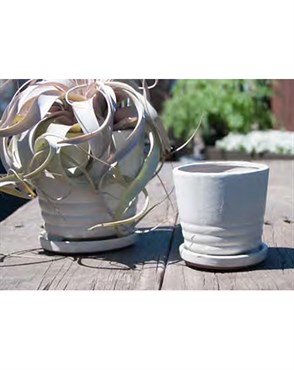 Verandah 7.5" Wsp Kona Pot