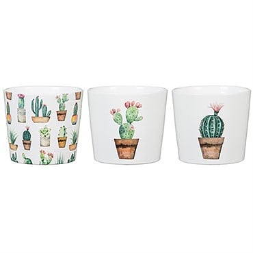 Scheurich 2.75" Cactus Gdn Asst 870/07 Planter