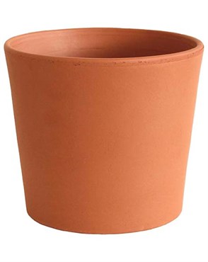 Southern Patio 6.5" Flair Cylinder Clay Pot